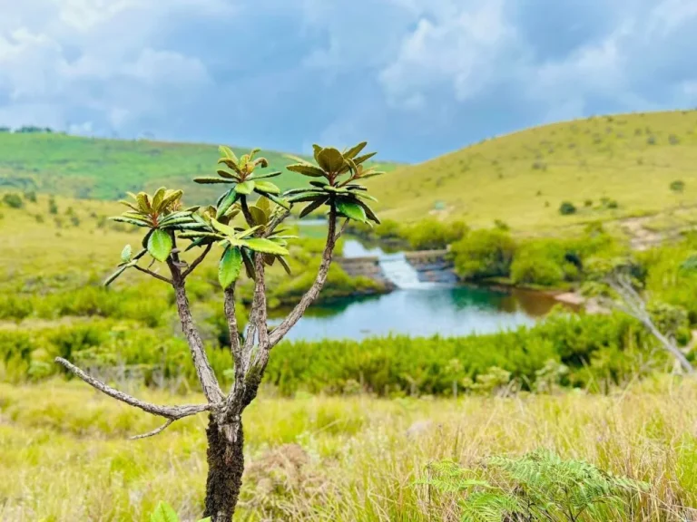 Horton plains 6 1024x768 1