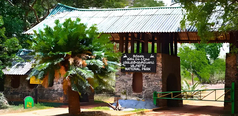 Wilpattu National Park Sri Lanka Entrance