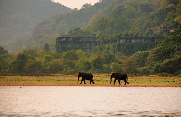 heritance kandalama kandalama sri lanka 19