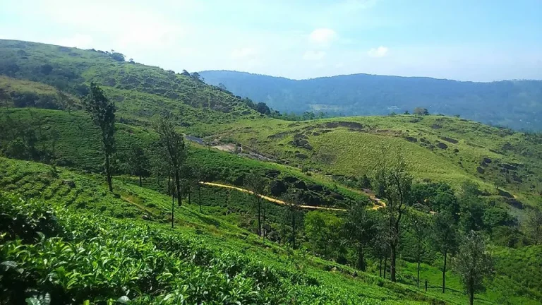 20191216T003905541Z IMG 20191211 110002