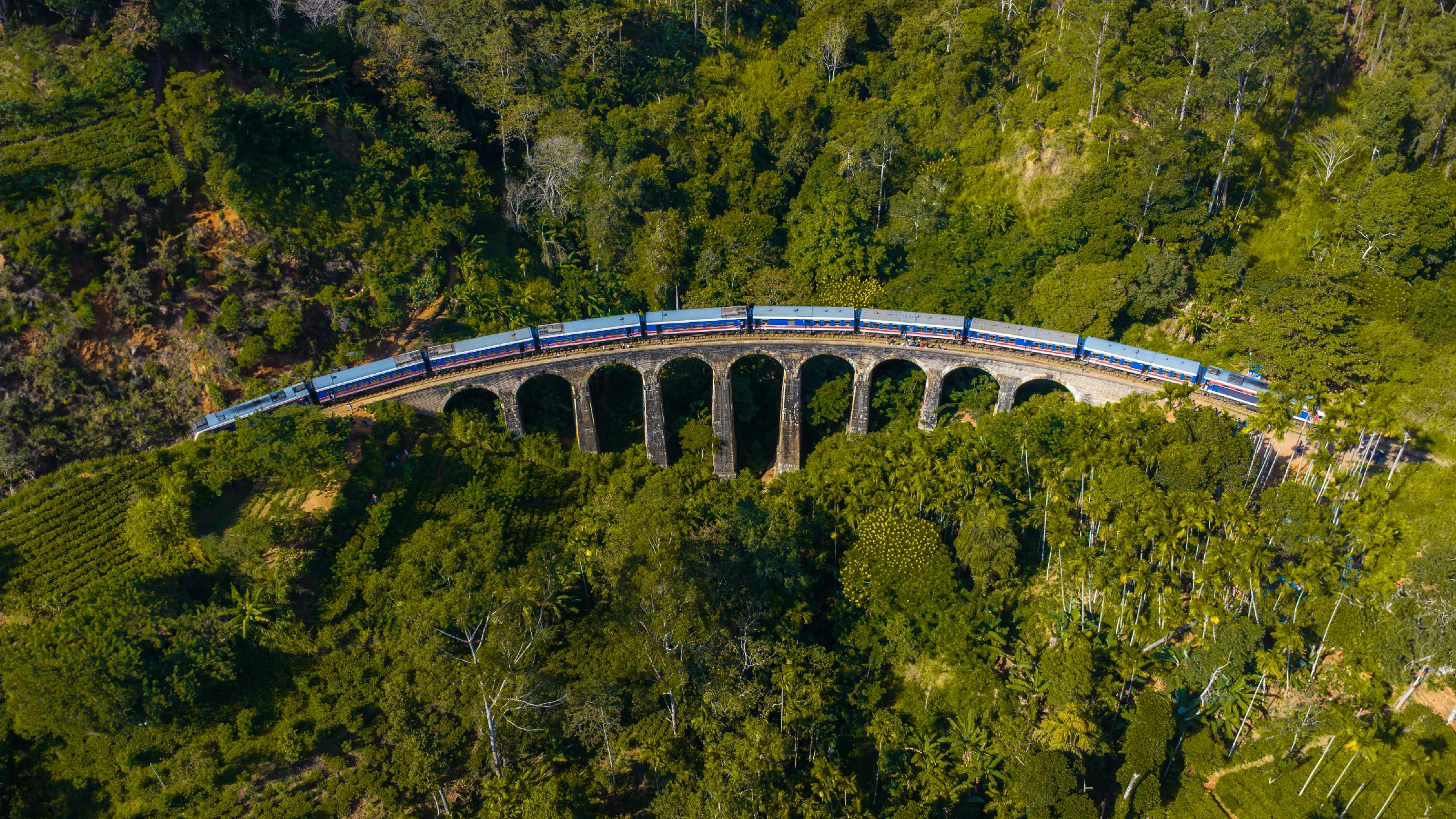 shutterstock 2502439867