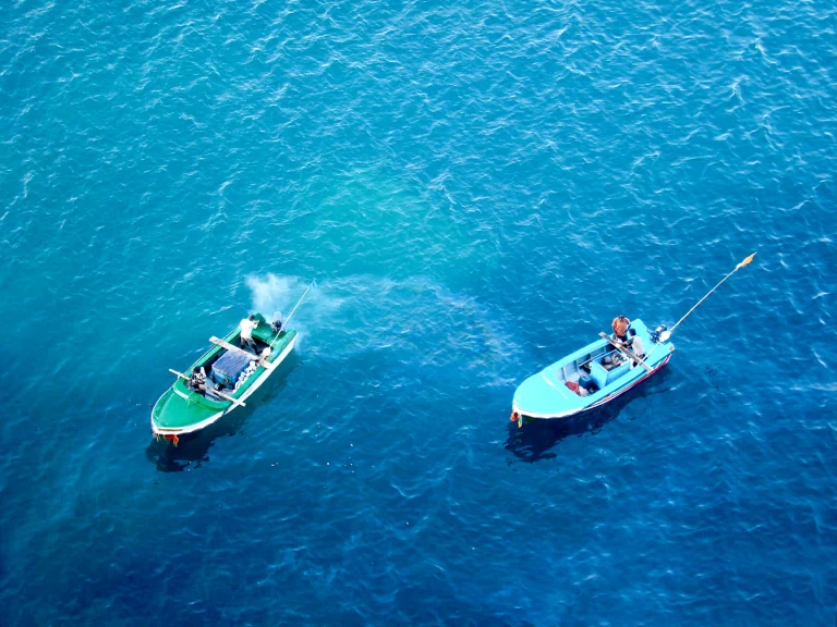 shutterstock 597005807